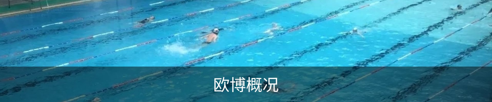 欧博概况